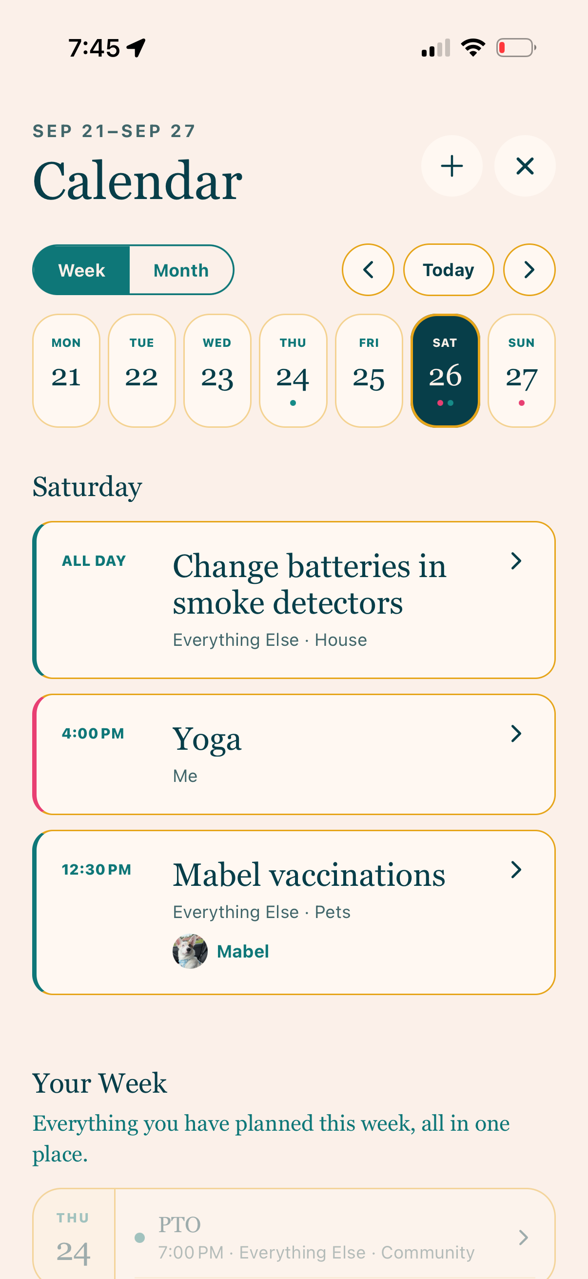 Calendar week view and daily agenda